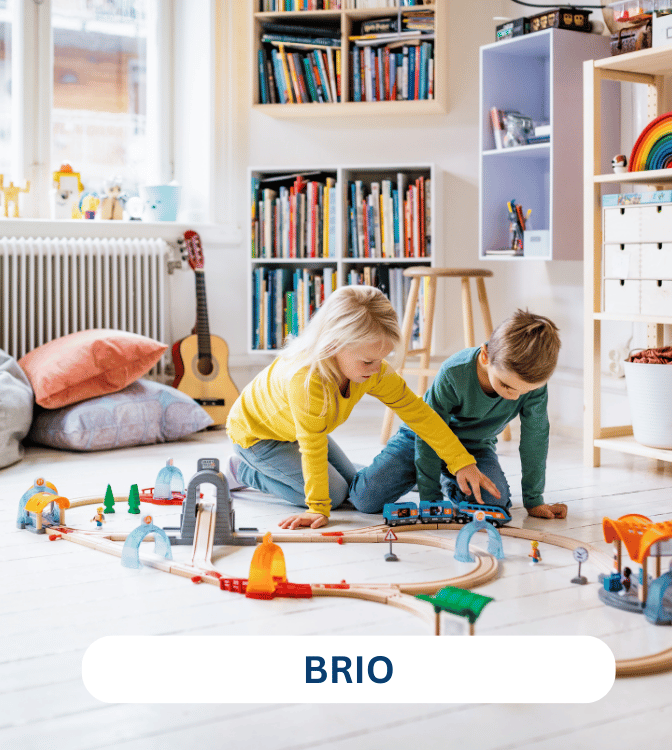 BRIO (6).png__PID:f8c86990-7f04-4da8-bf58-9c552a9e66b0