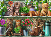 Ravensburger - Cats on the Shelf Puzzle 500 pieces - Ravensburger Australia & New Zealand