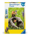 Ravensburger - Curious Foxes Puzzle 300 Pieces - Ravensburger Australia & New Zealand
