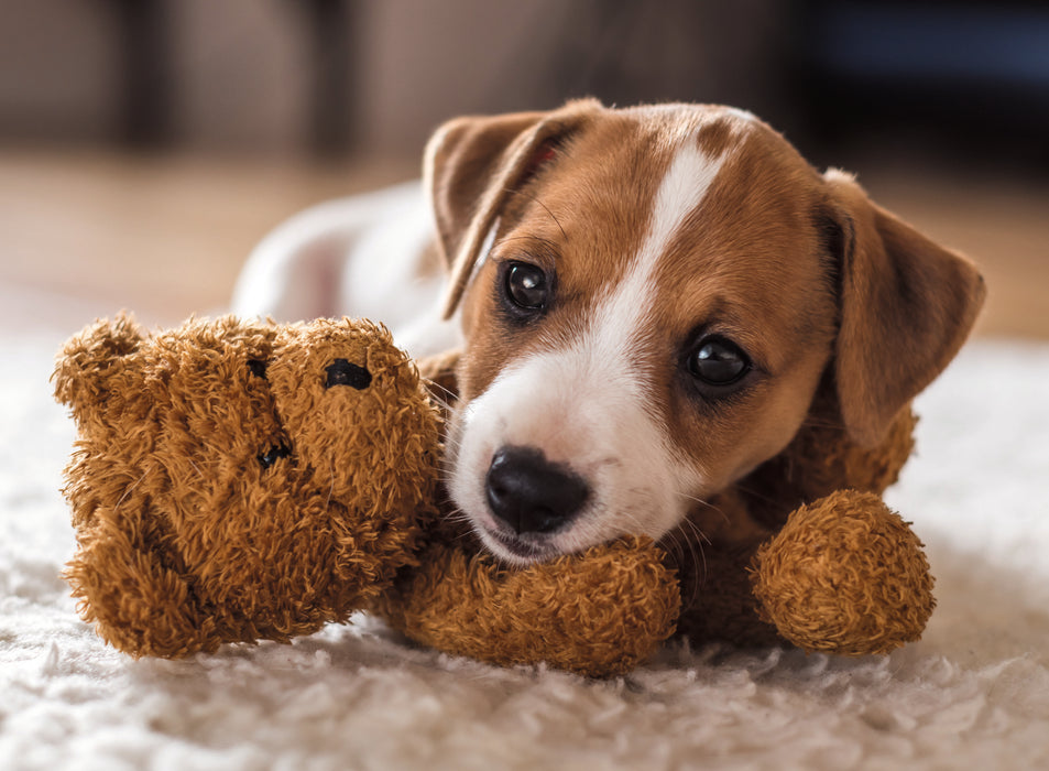 Ravensburger - Cuddle Buddies 500 pieces