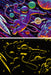 Ravensburger - Outer Space Adventure 200 pieces - Ravensburger Australia & New Zealand