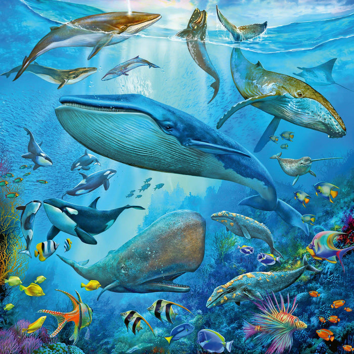 Ravensburger - Ocean Life Puzzle 3x49 pieces - Ravensburger Australia & New Zealand