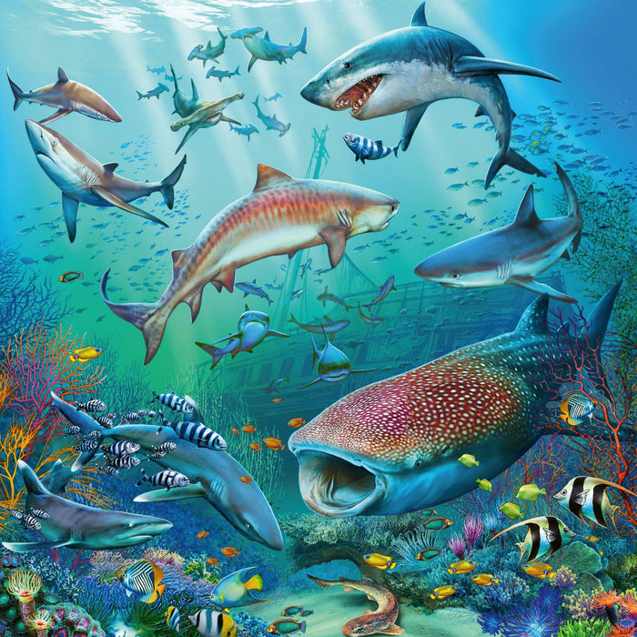 Ravensburger - Ocean Life Puzzle 3x49 pieces - Ravensburger Australia & New Zealand