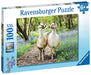Ravensburger - Llama Love Puzzle 100 pieces - Ravensburger Australia & New Zealand