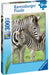 Ravensburger - Zebra Love Puzzle 300 pieces - Ravensburger Australia & New Zealand