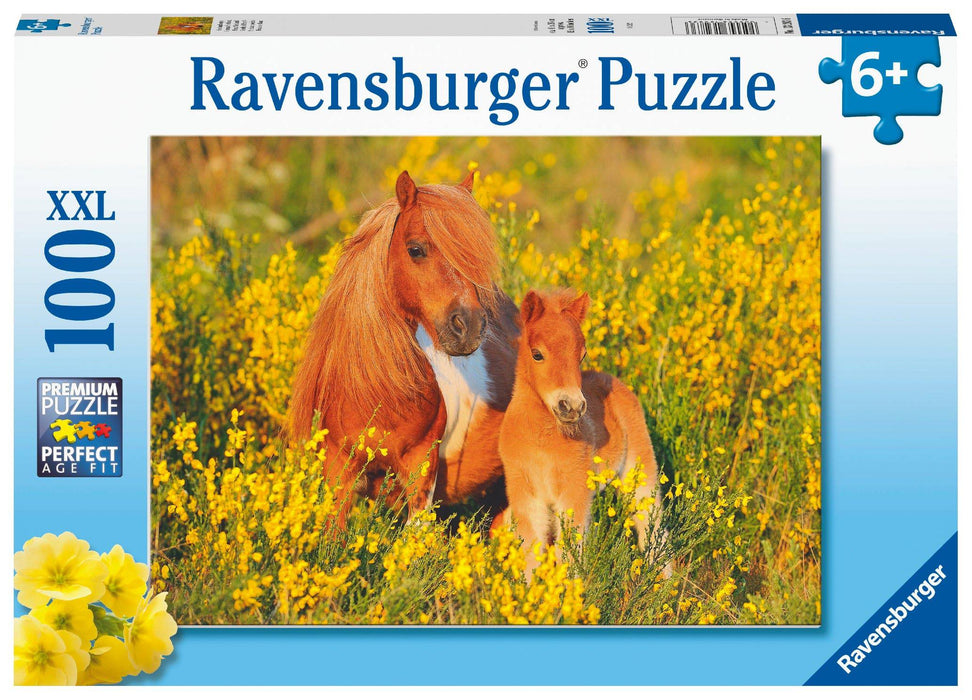 Ravensburger - Shetland Ponies 100 pieces - Ravensburger Australia & New Zealand