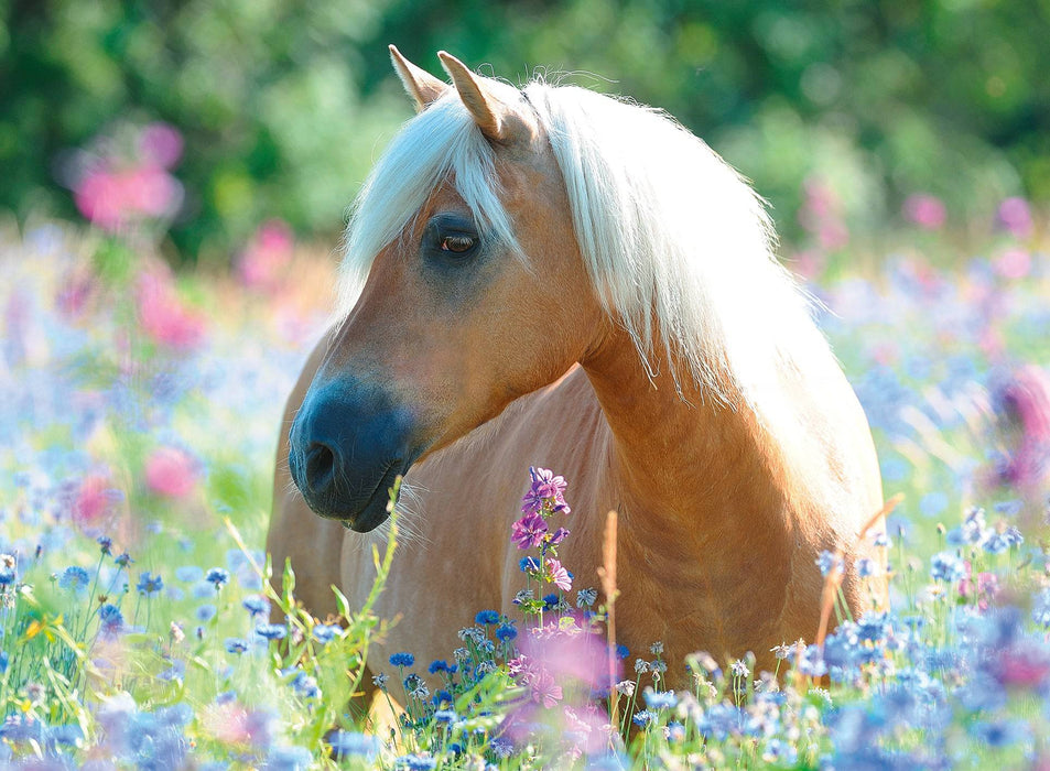 Ravensburger - Wildflower Pony Puzzle 300 pieces - Ravensburger Australia & New Zealand