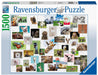 Ravensburger - Funny Animals Puzzle 1500 pieces - Ravensburger Australia & New Zealand