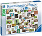 Ravensburger - Funny Animals Puzzle 1500 pieces - Ravensburger Australia & New Zealand