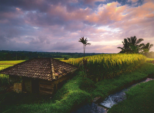 Ravensburger - Bali Rice Fields 500 pieces - Ravensburger Australia & New Zealand