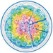Ravensburger - Rainbow Cake Circle Puzzle 500 piece - Ravensburger Australia & New Zealand