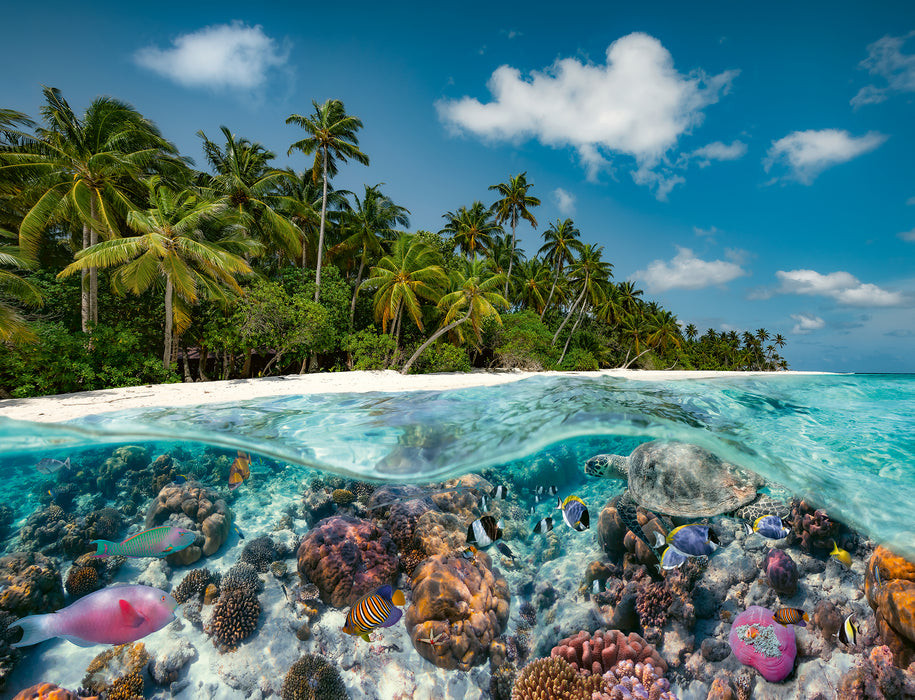 Ravensburger - A Dive in the Maldives Puzzle 2000 Pieces