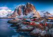 Ravensburger - Village on Lofoten Islands 1000 pieces - Ravensburger Australia & New Zealand